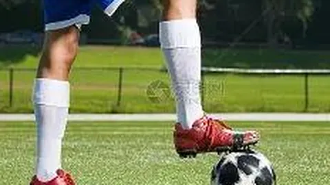 电竞战队概览：团队构建与竞技成果剖析