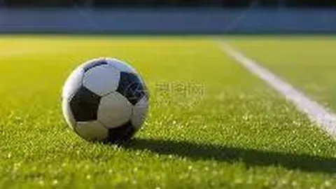 宝威体育 资讯 100254 0kc