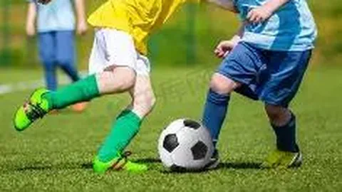 宝威体育 资讯 100212 lr1