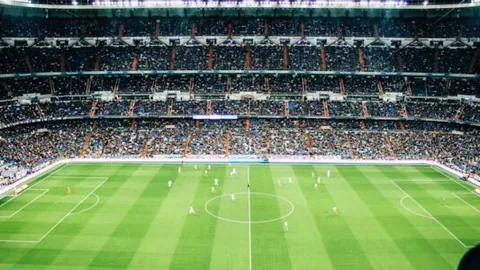 宝威体育 产品 090116 rxz