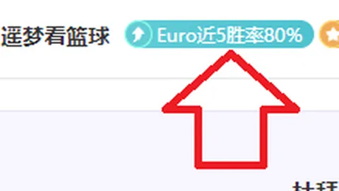 激情对决！纽卡斯尔喷气机VS布里斯班狮吼，澳超巅峰之战，精彩比分揭晓！